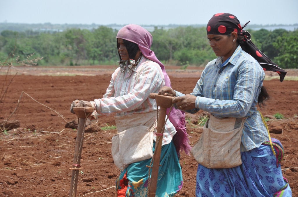 Seed sowing underway at Arjun Nayak Thanda.